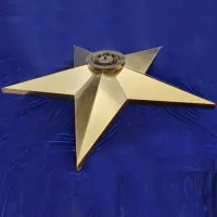 Звезда вечный огонь (1628) поставка комплект горелка ГВД 379 10 89 00 ПС ø 1100 мм. пустотелая  в Липках